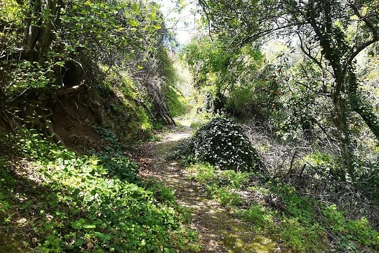Tour image 5
