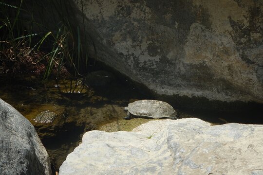 Tour image 7