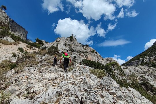 Tour image 5