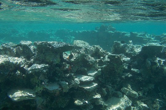 Tour image 5