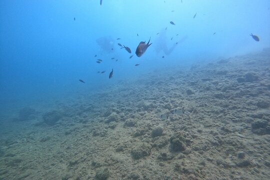 Tour image 4